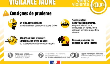 Vigilance jaune | Vents violents